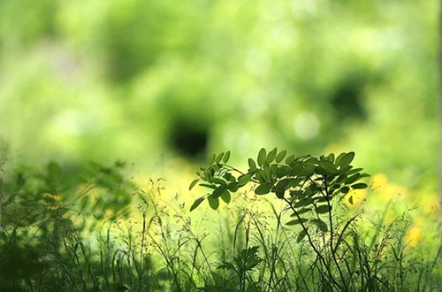 ����ũ��� ����